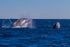 Double Breach 8. 0A3A2734
