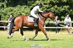 Cls 25 Snr British Novice and 90cm portfolio