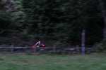 FOM_0736