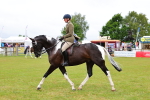 SBM_02629