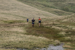 Sedbergh Hills-812