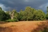 Open Forest - Sherwood Forest (Nottinghamshire)