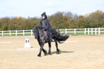 SBM_001040
