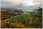 Sun Breaking Through The Mist Over Custard Field Farm