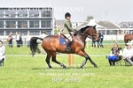 BPP_6985