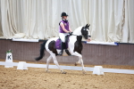 SBM_008799