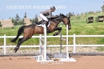 BPP_2323