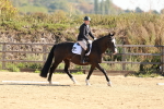 SBM_009870