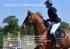 BPP_7970