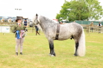 SBM_00661
