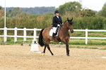 SBM_000258