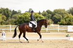 SBM_002595