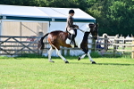 SBM_11495