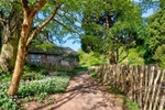 Pathway by at Cockington by the Lakes