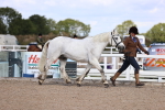 SBM_14362