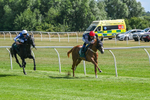 160725-Race 3-Miss Yechance-8995