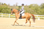 SBM_008435