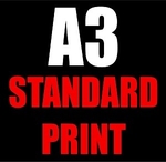A3 STANDARD PRINT