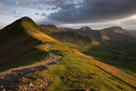 Lakeland Light