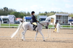 SBM_09091