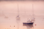 z3189 Pastel Pinks at Dawn Bembridge Harbour