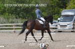 BPP_6496