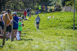 The Finish-1498