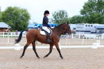 SBM_00207