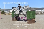CLASS 1 Club/ Unaffiliated 70cms Open portfolio
