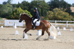 SBM_020251