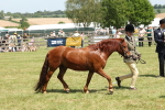 SBM_06858