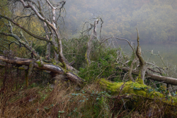 In your arms forever