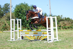Class 10: 95cm National Amateur Championship Qualifier portfolio