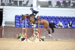Class 4 - Senior Newcomers - 1.10m Open portfolio