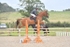 BPP_3258