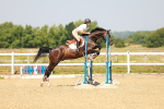 SBM_000338