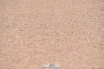 230720A-091802-01342