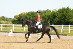SBM_007010