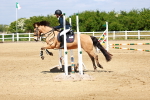 SBM_007570