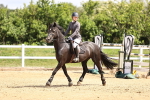 SBM_007536
