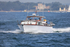 190824 SEA CHASER II - ROYAL CRUISER IV 1Y3A9273