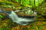 Waterfall at Sally Gap