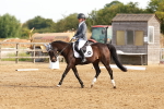 SBM_000186
