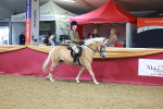 SBM_05352
