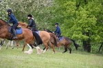 WJ6_1406