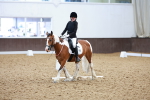 SBM_005910