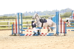 SBM_001663