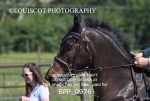 BPP_0976