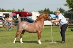 SBM_00650