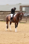 SBM_001926